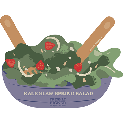 Kale Slaw Spring Salad